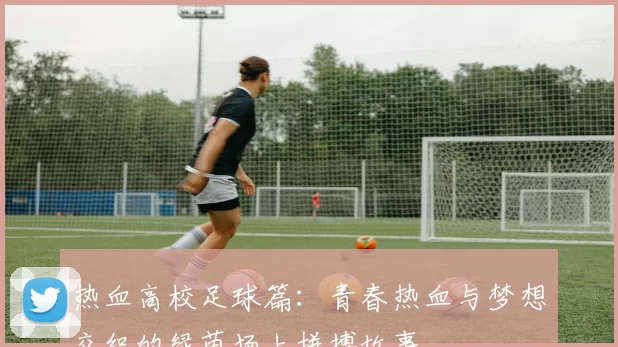 热血高校足球篇：青春热血与梦想交织的绿茵场上拼搏故事