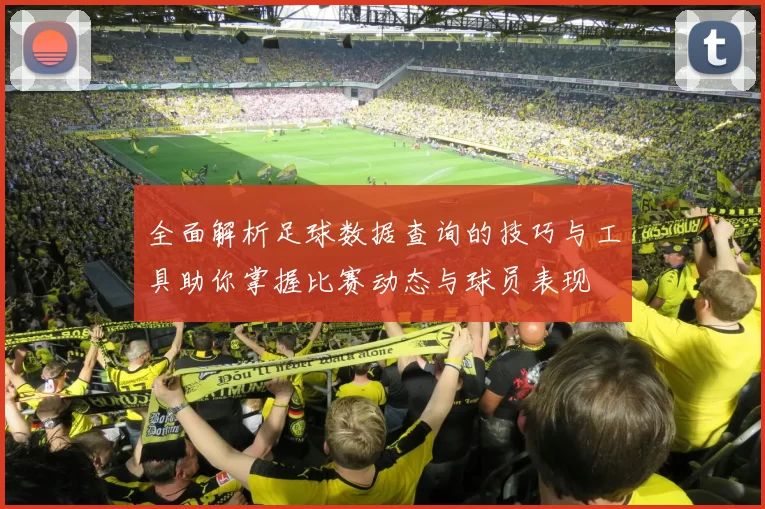 全面解析足球数据查询的技巧与工具助你掌握比赛动态与球员表现