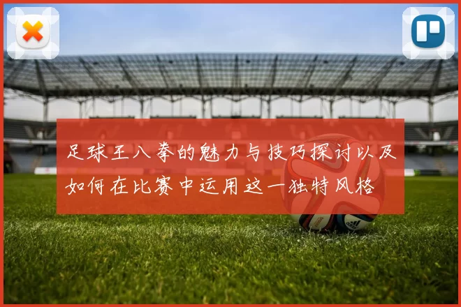 足球王八拳的魅力与技巧探讨以及如何在比赛中运用这一独特风格