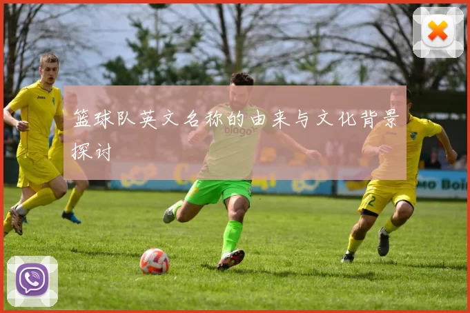 篮球队英文名称的由来与文化背景探讨